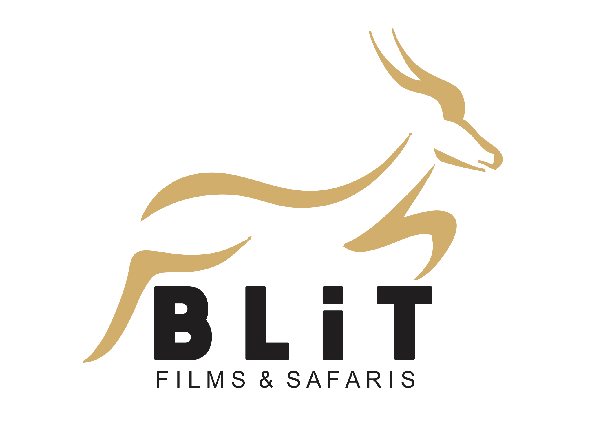BLiT Safaris